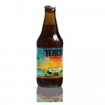 Teach – Orange Summer Trigo Ale - Barra Grau